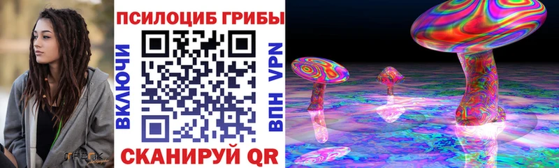 Псилоцибиновые грибы MAGIC MUSHROOMS  Купить закладки  Кирово-Чепецк 